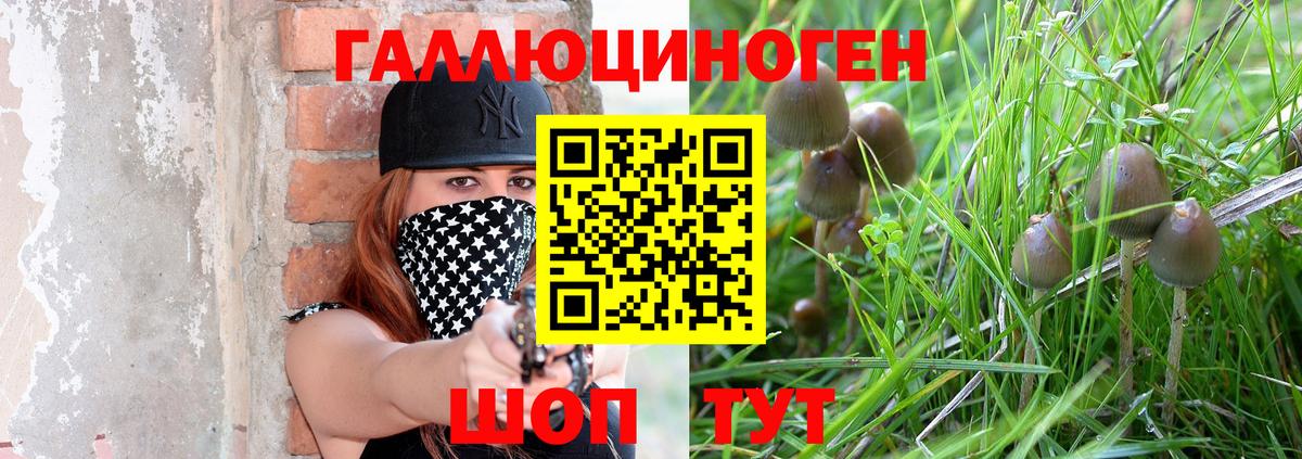 Галлюциногенные грибы прущие грибы  Галлюциногенные грибы Psilocybine cubensis  Вход с VPN  как найти   Тара 